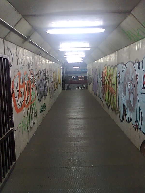murales stazione porta susa torino